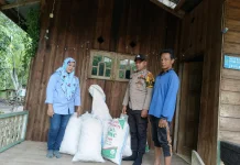 Polres Bengkalis Dampingi Petani Panen Jagung di Bukit Batu