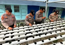 Polsek Pelabuhan Dumai Sulap Mako Jadi Kebun Hidroponik