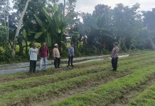 Polsek Bengkalis dan Pemdes Sulap Lahan Tidur Jadi Produktif
