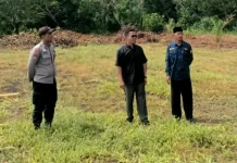 Polsek Bengkalis dan Desa Penampi Kembangkan Budidaya Jagung