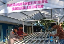 Polsek Kawasan Pelabuhan Rawat 260 Bibit Hidroponik