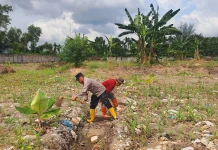 Polsek Pelabuhan Dumai Cek Lahan Jagung dan Buatkan Tali Air Cegah Banjir