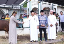 Bupati Asmar Serahkan Bantuan Sapi Kurban Presiden Republik Indonesia