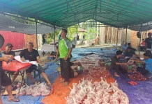 Jumlah Hewan Kurban di Masjid Nurul Hidayah Bengkalis Meningkat