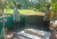 Polsek Bengkalis Cek Sumber Air, sebelum Lahan Jagung Kuala Alam di Tanami
