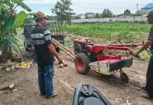 Polisi dan Kelompok Tani Cek Lahan Jagung di Dumai Barat
