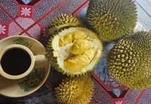 Makan Durian setelah Minum Kopi, Ini Penjelasan Medisnya