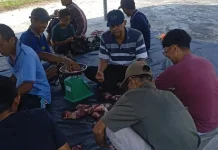 Semangat Kebersamaan Warnai Qurban Iduladha 1447 H di Masjid Raudhatul Ulum