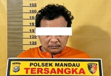 DPO Sabu Diburu Polisi, Polsek Mandau Tangkap Buronan Narkoba