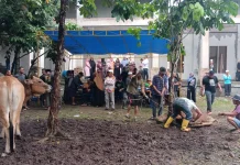 Warga Kelapapati Darat Antusias Laksanakan Pemotongan Hewan Kurban Bersama