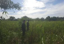 Babinsa Koramil 03/Mandau Intensif Patroli Cegah Karhutla