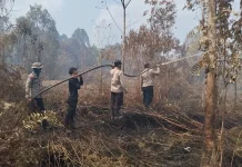 Manggala Agni Intensif Padamkan Karhutla di Dua Wilayah