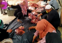 Semarak Iduladha, MA Al-Huda Bengkalis Laksanakan Penyembelihan Hewan Kurban