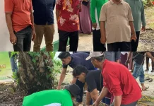 Kemenag Bengkalis Sembelih Empat Ekor Sapi Kurban pada Iduladha 1447 H