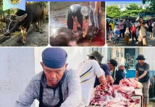 Ponpes Daarun Nahdhah Thawalib Bangkinang Sembelih Enam Kerbau Qurban