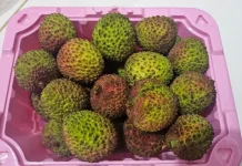 Manis dan Segar, Ini Manfaat Buah Leci untuk Kesehatan