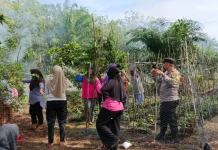 Polisi Turun ke Kebun, PKK Bantan Timur Tanam Kacang Panjang