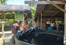 Polisi Dorong Budidaya Lele, Warga Pasiran Diajak Mandiri