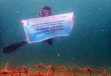Hari Terumbu Karang Sedunia, Grup PHI Perkuat Komitmen Pelestarian Ekosistem