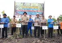 Tujuh Ribu Mangrove Ditanam Lindungi Pesisir Siak Hijau