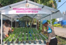 Polsek Kawasan Pelabuhan Dumai Inspirasi Warga Kembangkan Pakcoy Hidroponik