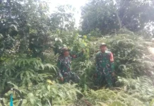 Patroli Rutin Babinsa 03/Mandau Cegah Karhutla