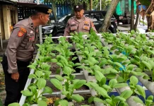 Dukung Ketahanan Pangan, Polsek Pelabuhan Dumai Kembangkan Hidroponik Tahap II