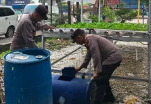 Dukung Ketahanan Pangan, Polsek Kawasan Pelabuhan Rawat Ratusan Bibit Pakcoy