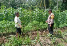 Bhabinkamtibmas Bantan Sari Dorong Warga Sukseskan Ketahanan Pangan