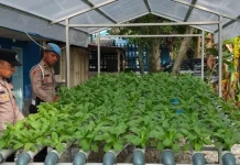 Polsek Pelabuhan Dumai Siapkan Panen Pokcay Hidroponik