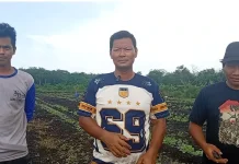 Petani Milenial Sulap Lahan Gambut Jadi Lumbung Sayur dengan Teknologi