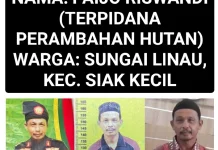 Kejari Bengkalis Buru Tiga Terpidana Perambah Hutan
