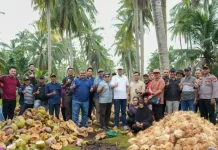 Wabup Meranti Tinjau Potensi Kelapa Unggulan Kecamatan Rangsang