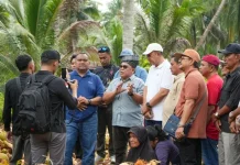 Delegasi Malaysia Jajaki Peluang Dagang Kelapa Kepulauan Meranti