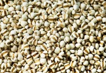 Jali, Superfood Kaya Serat yang Baik untuk Kesehatan