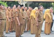 BKPP Bengkalis Usulkan 300 Formasi CPNS 2026, Guru Dominan