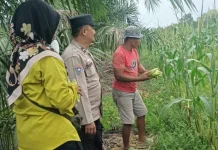 Bhabinkamtibmas Deluk Gerakkan Petani, Ketahanan Pangan Jadi Peluang Emas