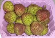 Makan Leci tiap Hari, ini 10 Manfaat Mengejutkan Buat Kesehatan Tubuh
