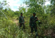 Babinsa Mandau Rutin Patroli Cegah Karhutla sejak Dini