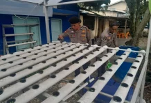 Polsek Kawasan Pelabuhan Dumai Kembangkan Hidroponik Pakcoy Tahap III