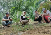 Bhabinkamtibmas dan Warga Mentayan Siap Sulap Lahan Kosong Jadi Kebun Jagung