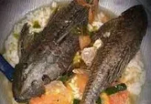 Bahaya Konsumsi Ikan Sapu Sapu