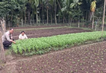 Polsek Bantan Dorong Ketahanan Pangan lewat Kebun Sayur Warga