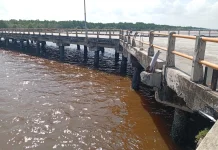 RoRo Sereia Domar Tabrak Dermaga BUMD, PT STL Siap Ganti Rugi