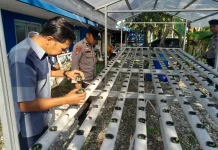 Polsek Kawasan Pelabuhan Dumai Sukseskan Program Pangan Nasional
