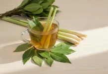 Tujuh Manfaat Minum Rebusan Daun Salam dan Sereh untuk Kesehatan