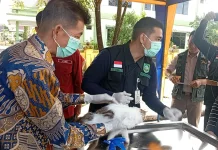 Vaksin Rabies Gratis Dimulai, Bengkalis Targetkan 2.500 Hewan