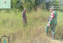 Babinsa Mandau Intensif Patroli Cegah Karhutla di Wilayah Rawan