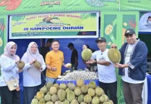 Bengkalis Durian Fest Resmi Dibuka Dorong Wisata Ekonomi Daerah