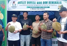 Festival Durian Bengkalis 2026 Resmi Dibuka, Angkat Warisan Lokal